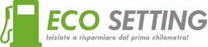 ECO Setting logo